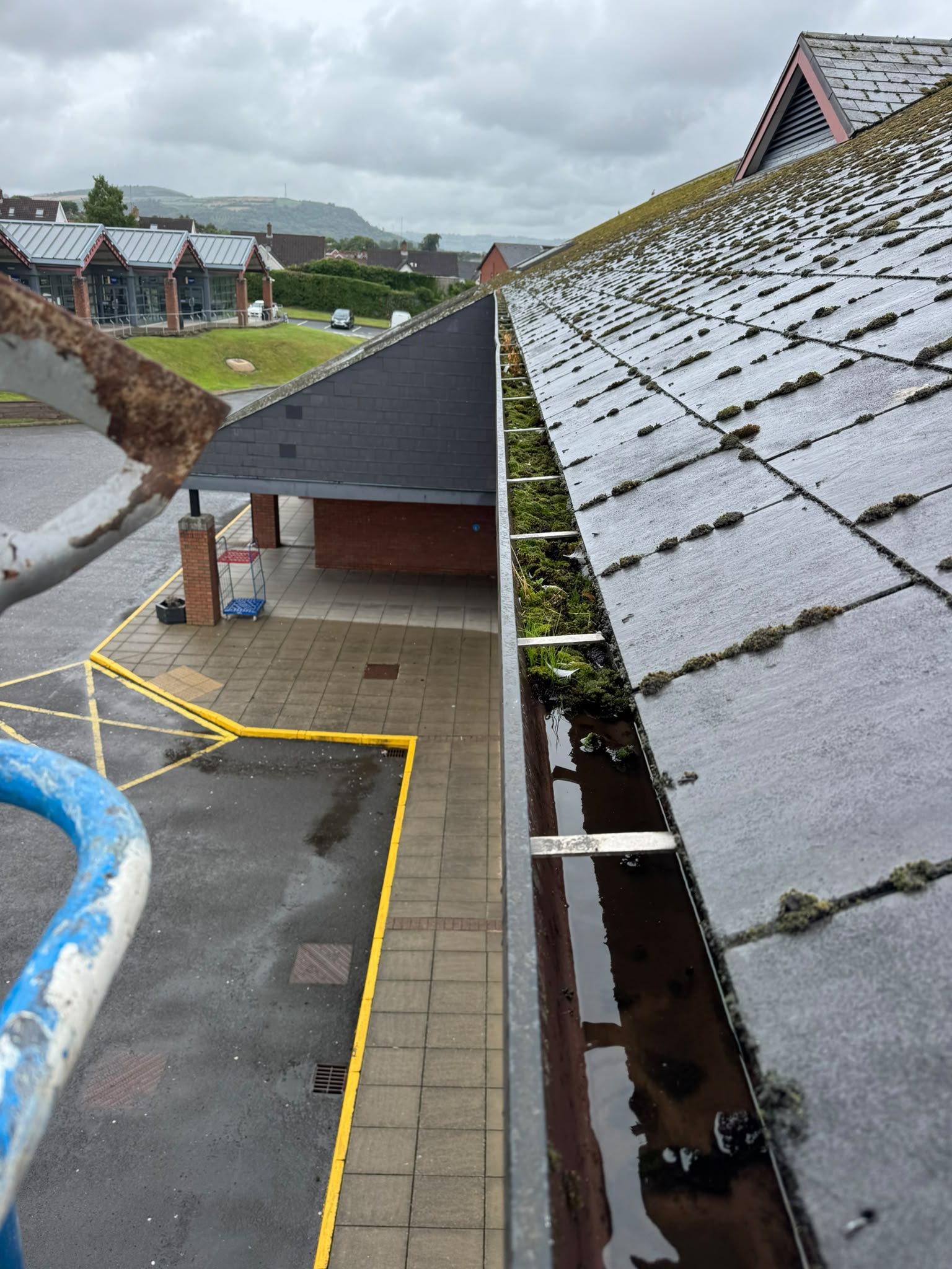 School gutter blocked with moss and standing water before clearing