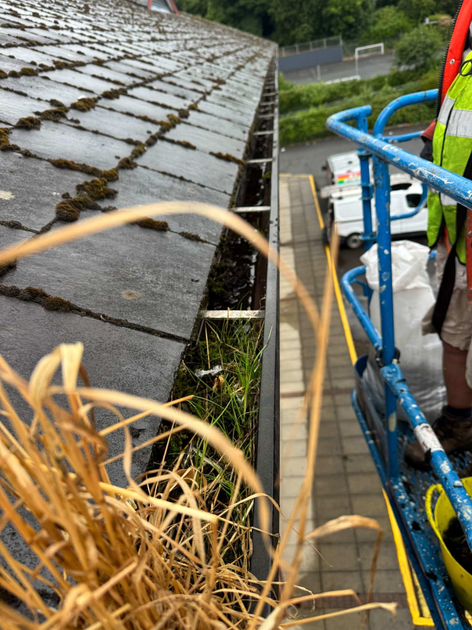 Grass growing along a blocked commercial gutter, seen from a cherry picker