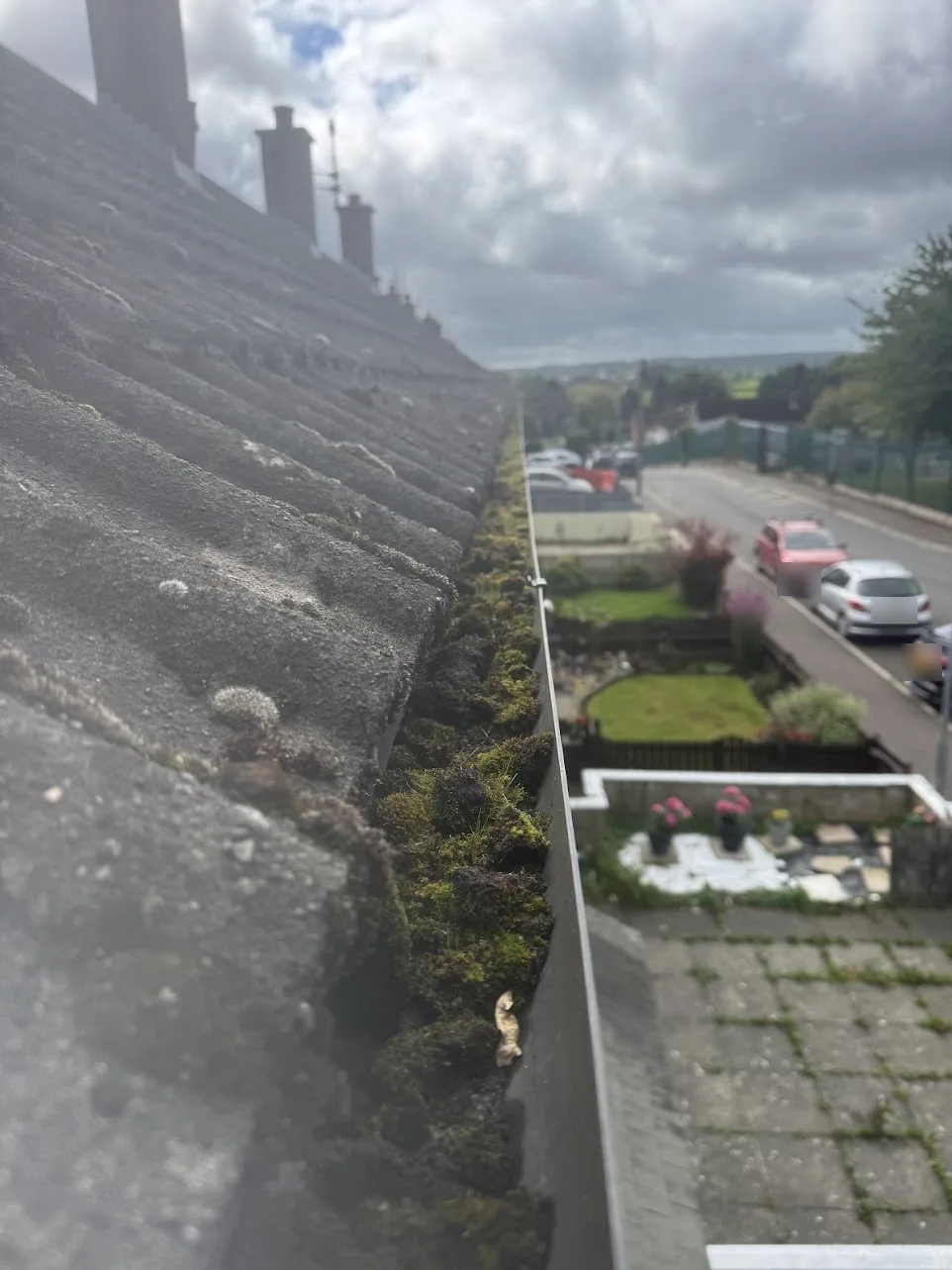 Front gutter on the same house full of moss, with the street below