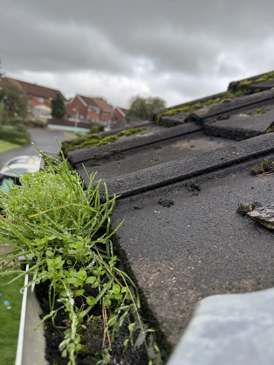 Gutter packed with moss and silt, with weeds and grass growing out of it
